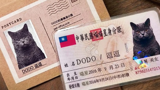 寵物身分證客製｜台版寵物證件卡・NFC感應卡・發票載具卡｜百寵事務所