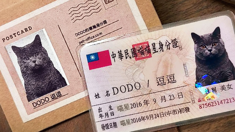 寵物身分證客製｜台版寵物證件卡・NFC感應卡・發票載具卡｜百寵事務所
