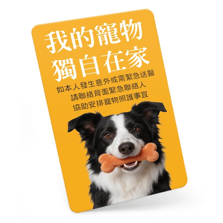 直式寵物緊急聯絡卡-單寵家庭