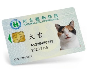 台式健康寶貝卡