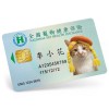 台式健康寶貝卡