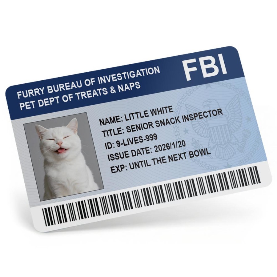 FBI毛茸茸調查局