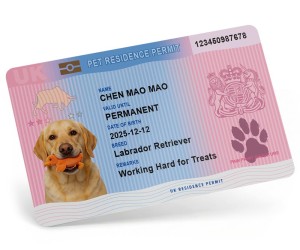 英倫風寵物身份證