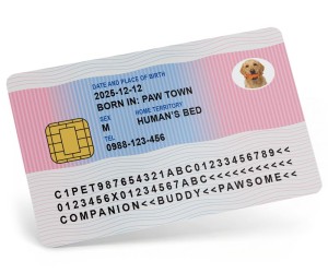 英倫風寵物身份證