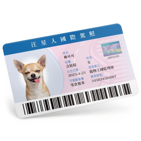 寵物國際駕照