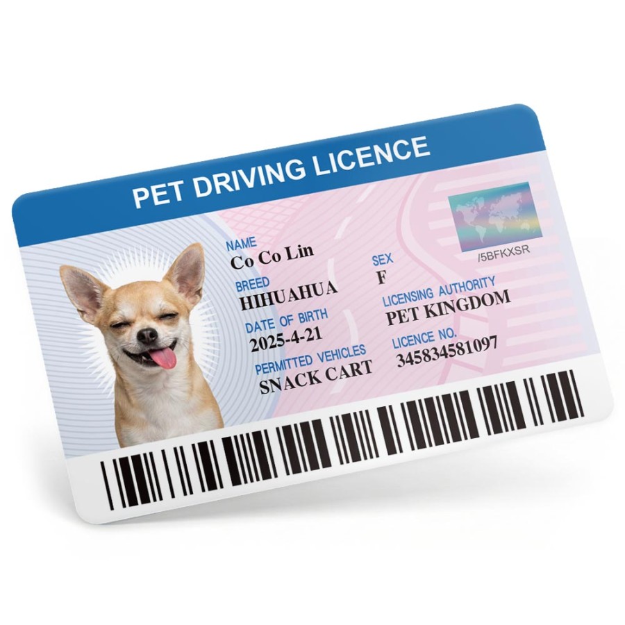 寵物國際駕照